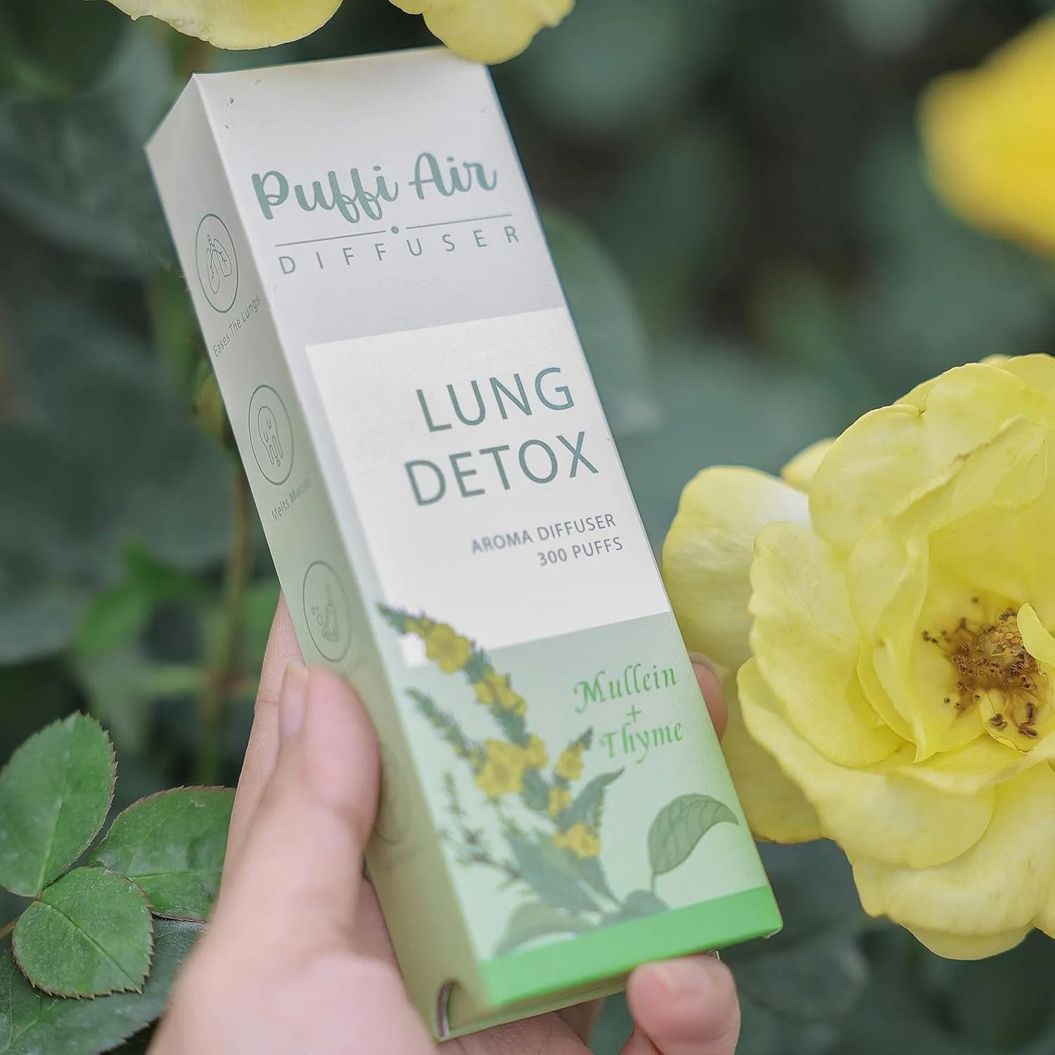 Herbal Diffuser Pen with Extracts of Mullein, Thyme and Mint